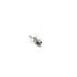 Skull Stud Earring